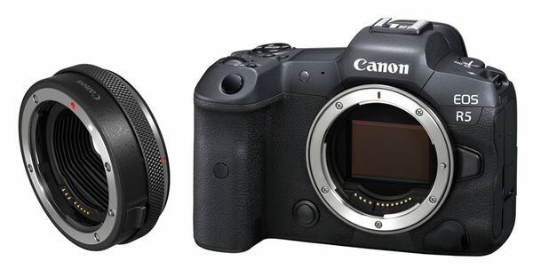 Canon EOS R5 Gehäuse + Canon Objektivadapter (mit Steuerungsring) 