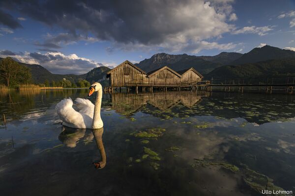 Canon EOS R5 Gehäuse 