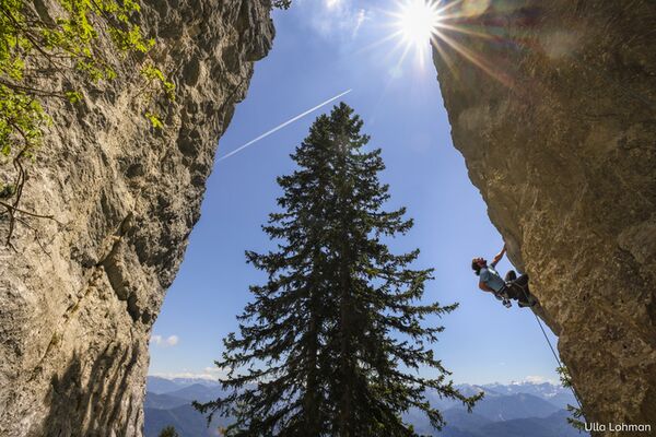 Canon EOS R5 Gehäuse 