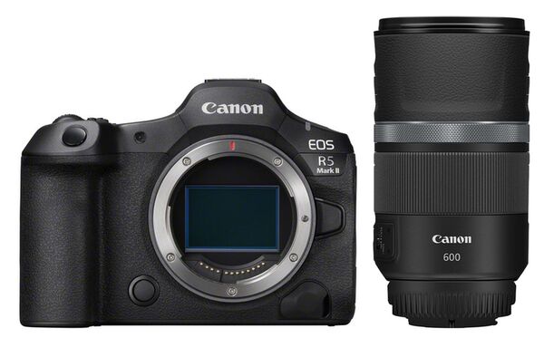 Canon EOS R5 Mark II + RF 600mm f/11 IS STM 