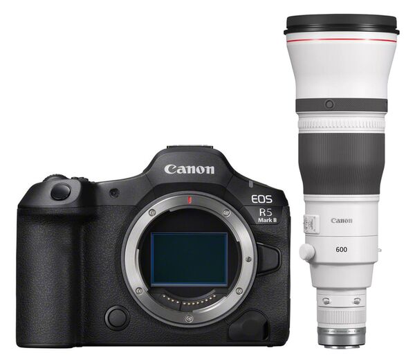 Canon EOS R5 Mark II + RF 600mm f/4 L IS USM 