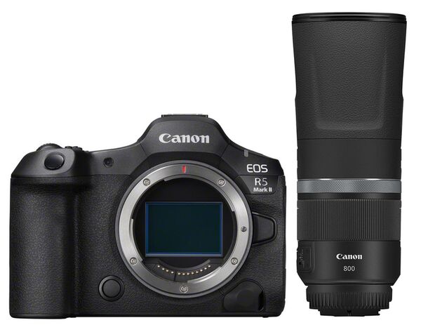 Canon EOS R5 Mark II + RF 800mm f/11 IS STM 