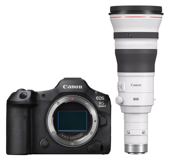 Canon EOS R5 Mark II + RF 800mm f/5,6 L IS USM 