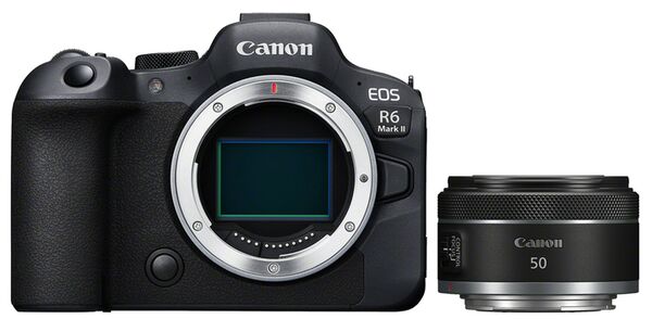 Canon EOS R6 Mark II + RF 50mm f/1,8 STM 