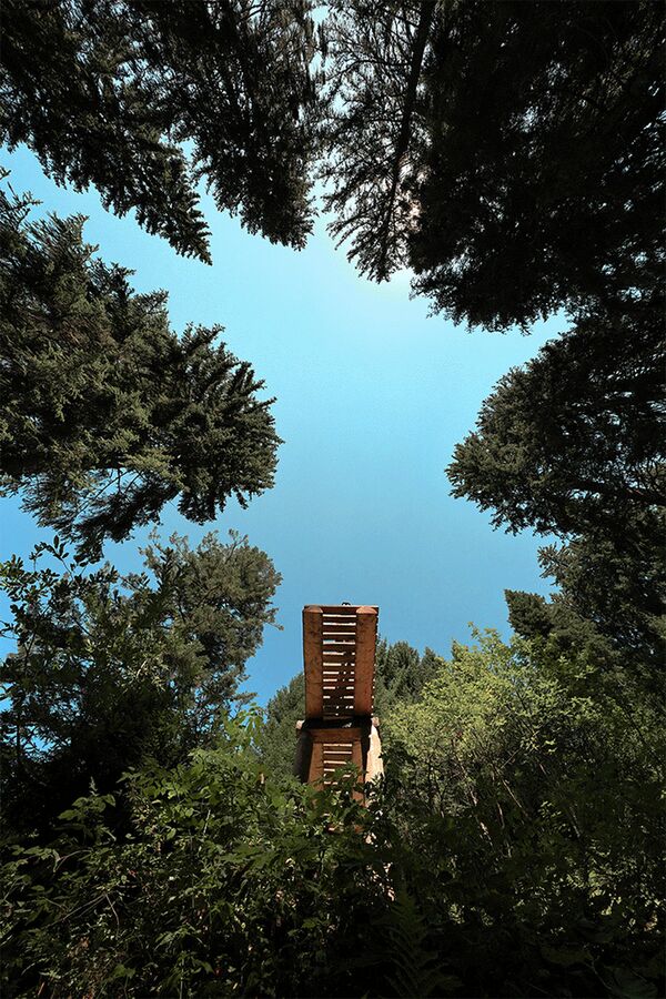 Canon EOS R6 Mark II Gehäuse 