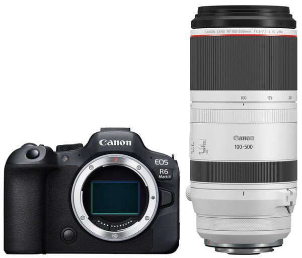 Canon EOS R6 Mark II + RF 100-500mm f/4.5-7.1 L IS USM 