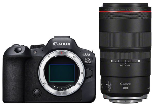 Canon EOS R6 Mark II + RF 100mm f/2,8 L MACRO IS USM 