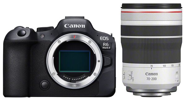 Canon EOS R6 Mark II + RF 70-200mm f/4 L IS USM 