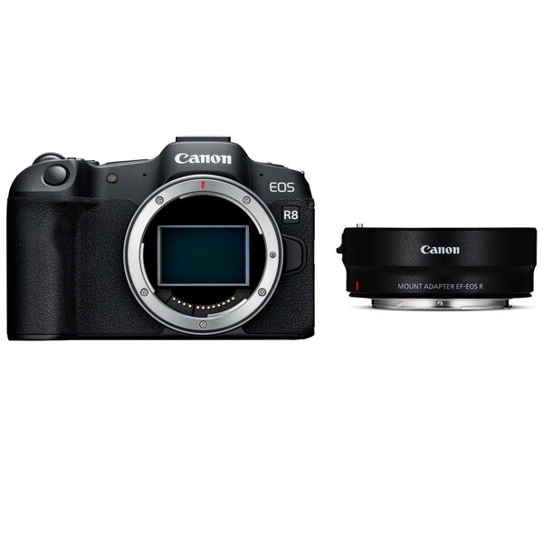 Canon EOS R8 Gehäuse + Objektivadapter EF-EOS R (Ohne Steuerungsring) 