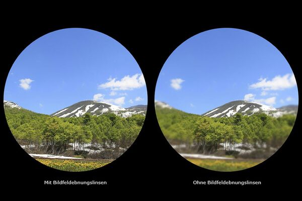 Canon Fernglas 15x50 IS All-Wetter 