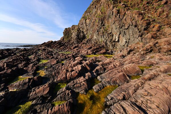 Canon RF 10-20mm f/4,0 L IS STM  Canon RF