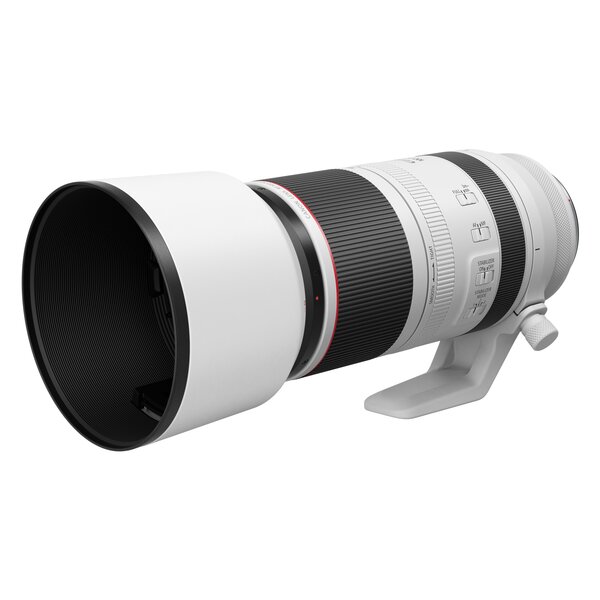 Canon RF 100-500mm f/4.5-7.1 L IS USM  Canon RF