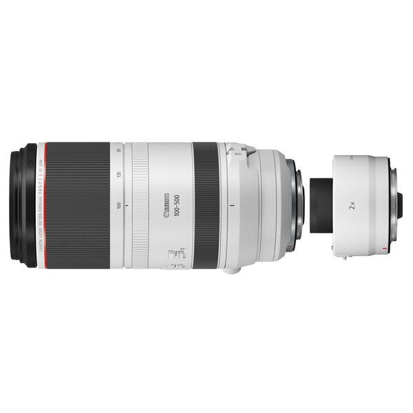 Canon RF 100-500mm f/4.5-7.1 L IS USM + Canon Extender RF 2x 