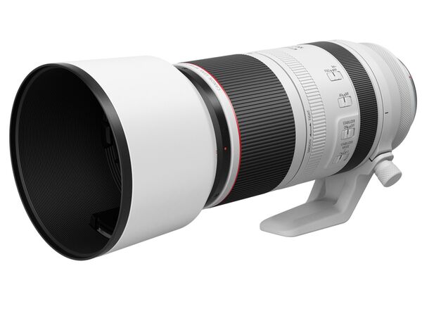 Canon RF 100-500mm f/4.5-7.1 L IS USM  Canon RF