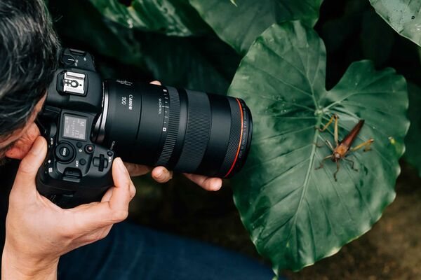 Canon RF 100mm f/2,8 L MACRO IS USM  Canon RF