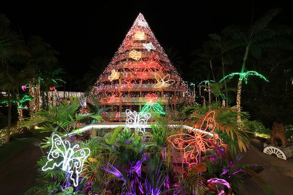 Canon RF 15-30mm f/4,5-6,3 IS STM  Canon RF