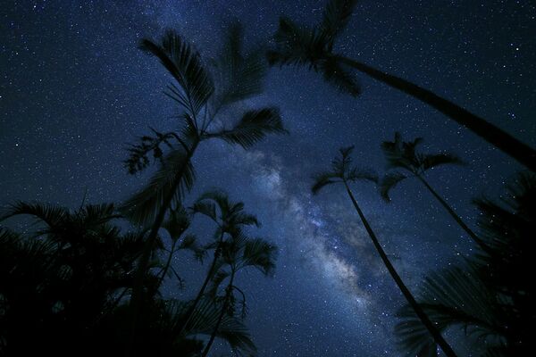 Canon RF 16mm f/2,8 STM  Canon RF