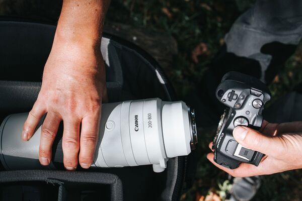 Canon RF 200-800mm f/6,3-9,0 IS USM  Canon RF