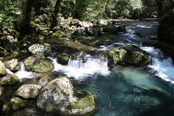 Canon RF 24-50mm f/4,5-6,3 IS STM  Canon RF