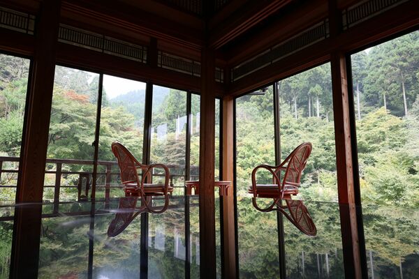 Canon RF 24-50mm f/4,5-6,3 IS STM  Canon RF