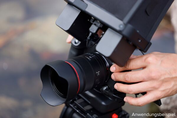 Canon RF 24mm f/1,4 L VCM  Canon RF