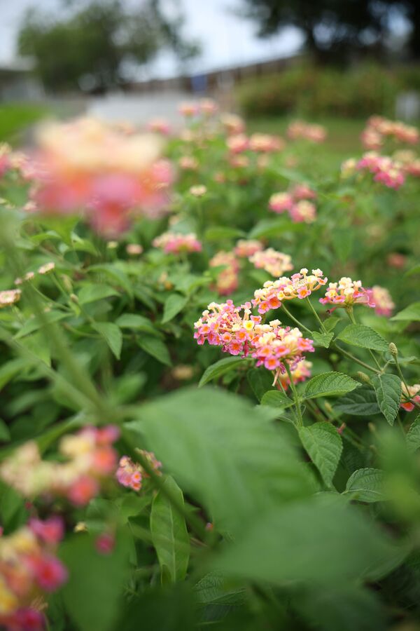 Canon RF 28-70mm f/2,8 IS STM - Retourenware - Verpackung beschädigt 