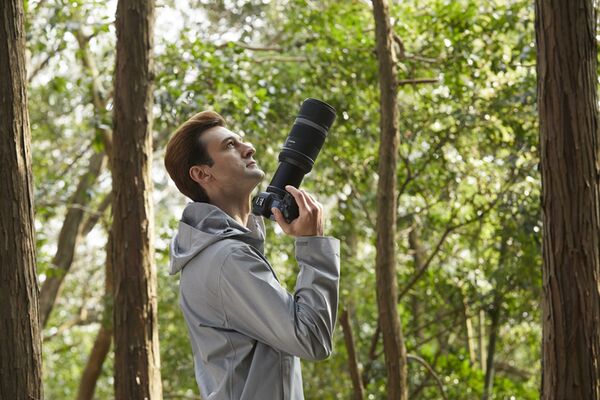 Canon RF 600mm f/11 IS STM  Canon RF