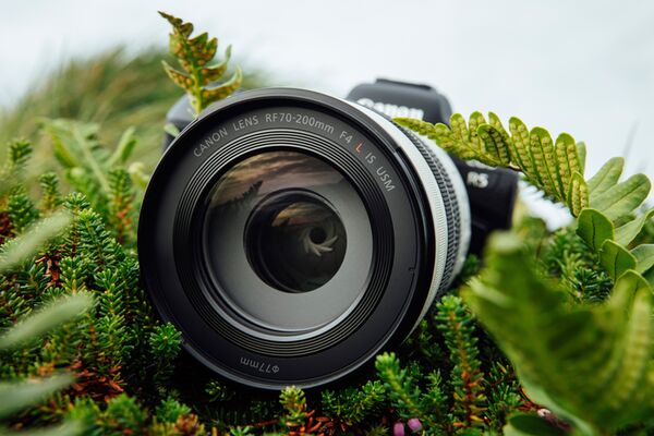 Canon RF 70-200mm f/4 L IS USM  Canon RF