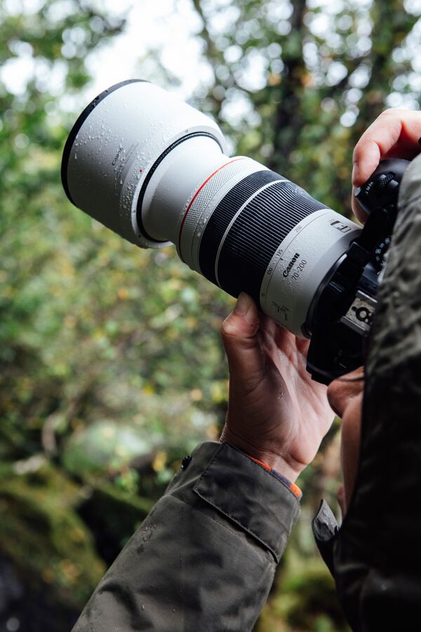 Canon RF 70-200mm f/4 L IS USM  Canon RF