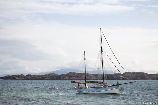 Canon RF 70-200mm f/4 L IS USM  Canon RF