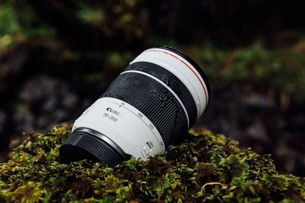Canon RF 70-200mm f/4 L IS USM  Canon RF