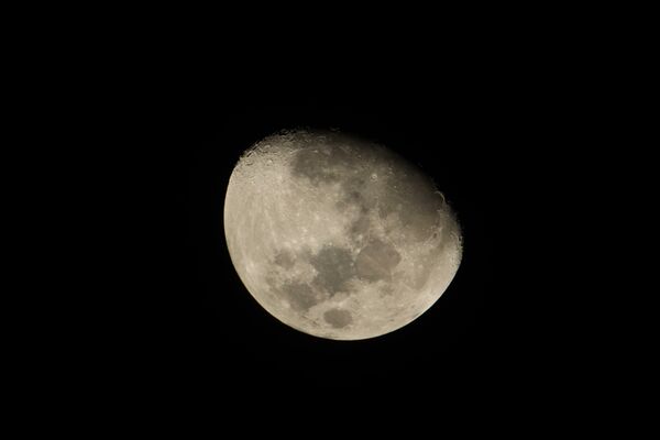 Canon RF 800mm f/11 IS STM  Canon RF