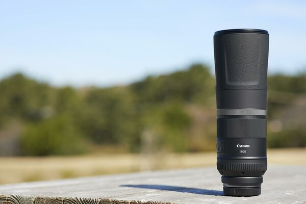 Canon RF 800mm f/11 IS STM  Canon RF