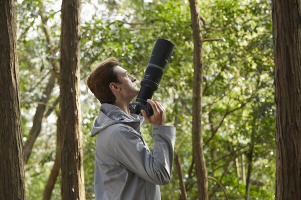 Canon RF 800mm f/11 IS STM  Canon RF