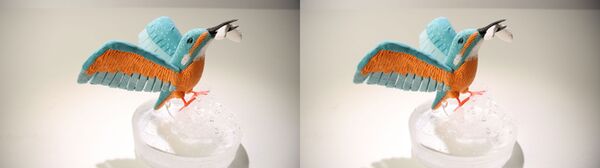 Canon RF-S 7,8mm f/4 STM DUAL  Canon RF-S