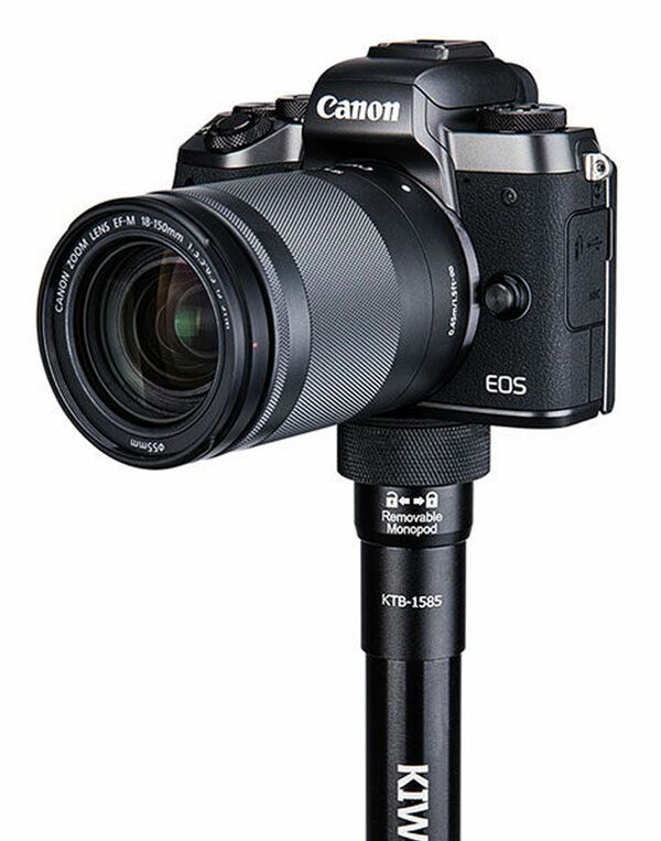 Caruba Adapterschraube  1/4 