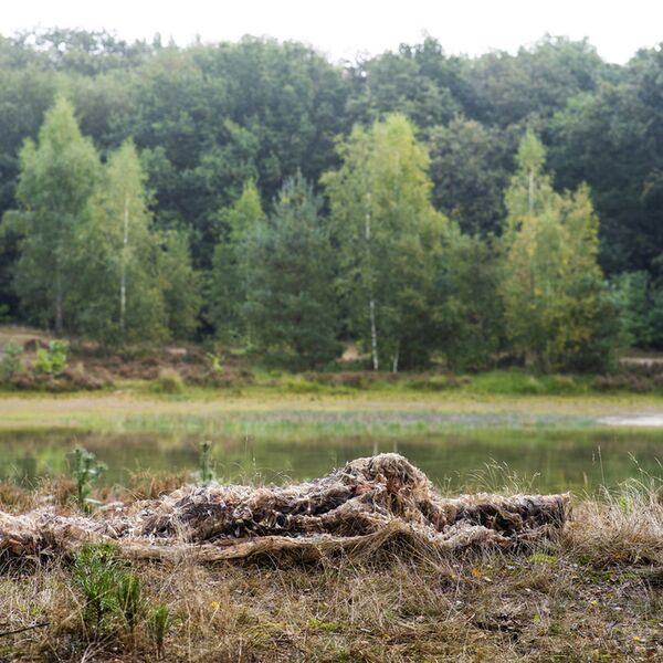 Caruba Camouflage Tarnnetz Schilf 