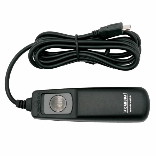 Caruba Fernbedienung Fuji  Typ 1 1,5m