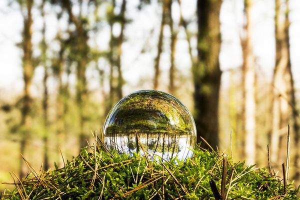 Caruba Lensball 60mm 