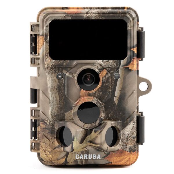 Caruba Wildlife Kamera Elch 4K 