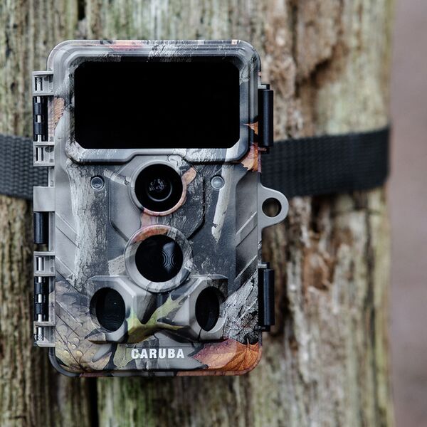 Caruba Wildlife Kamera Elch 4K 
