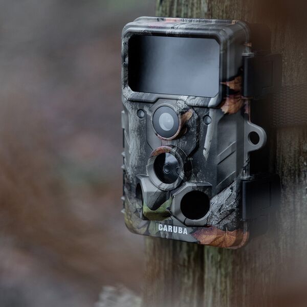 Caruba Wildlife Kamera Elch 4K 