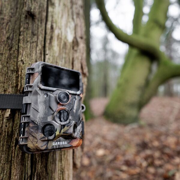 Caruba Wildlife Kamera Elch 4K 