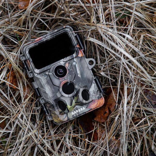 Caruba Wildlife Kamera Elch 4K 