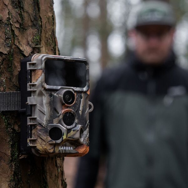 Caruba Wildlife Kamera Elch 4K 