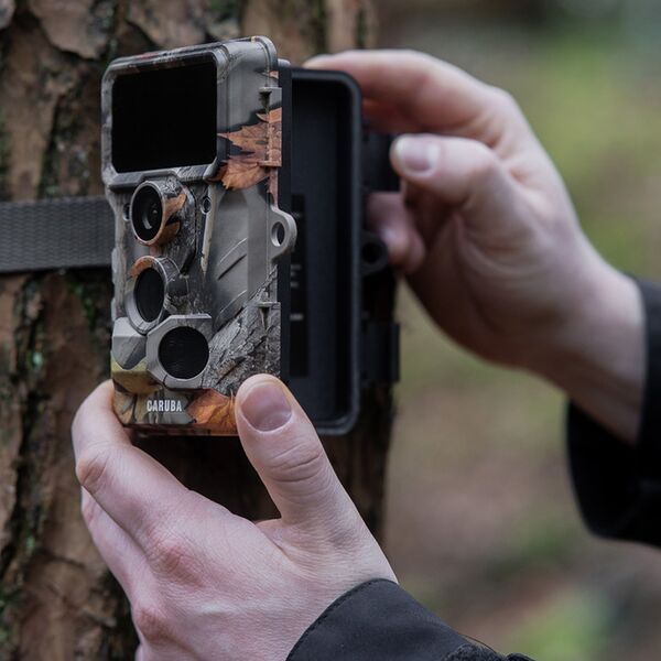 Caruba Wildlife Kamera Elch 4K 