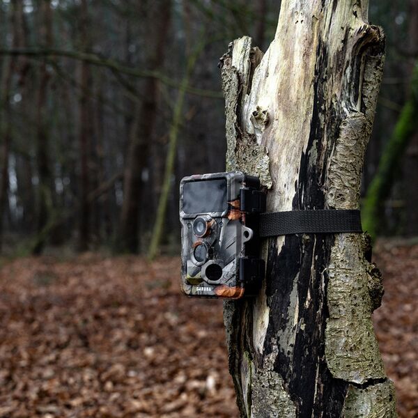 Caruba Wildlife Kamera Elch 4K 