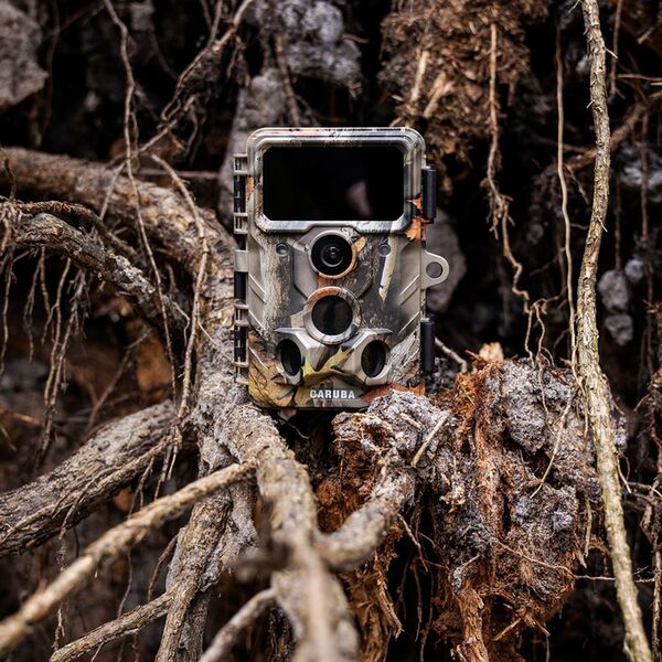 Caruba Wildlife Kamera Elch 4K 