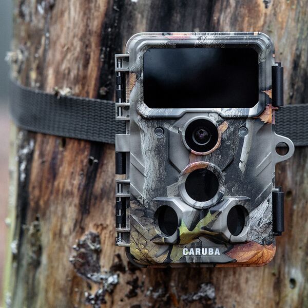 Caruba Wildlife Kamera Elch 4K 