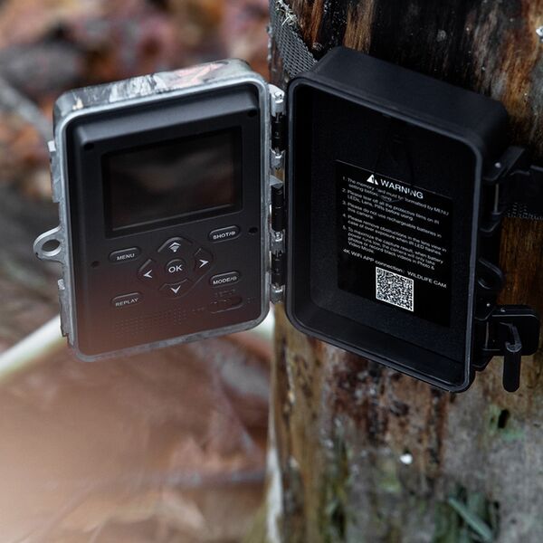 Caruba Wildlife Kamera Elch 4K 